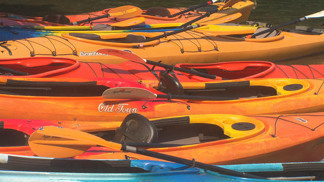 kayaks.jpg 