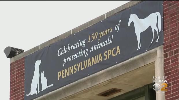 Pennsylvania SPCA 