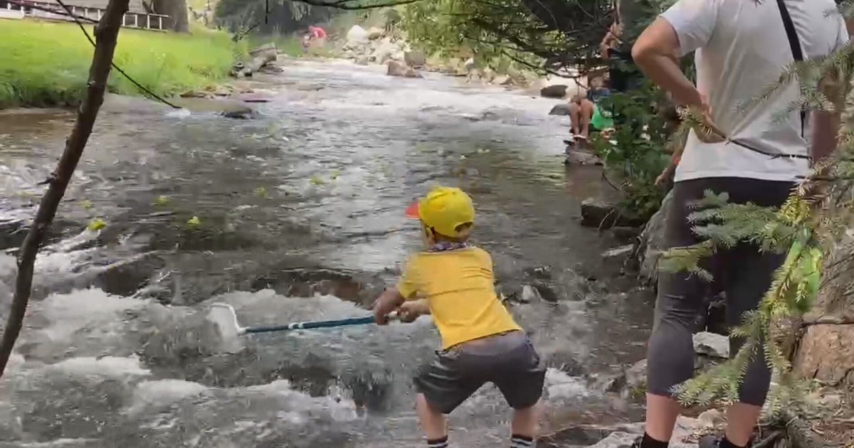 Dam Duck Derby In Evergreen Helps Raise Money For First Responders