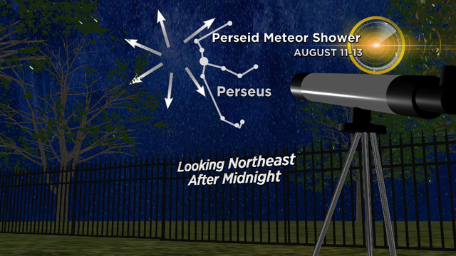 Perseid.png 