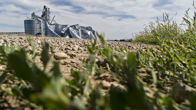 Powerful Derecho Causes Widespread Damage Across Iowa Farmland 
