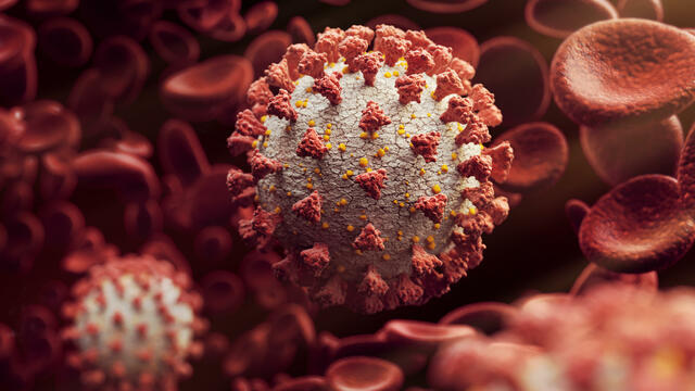 coronavirus-generic-772768-640x360.jpg 