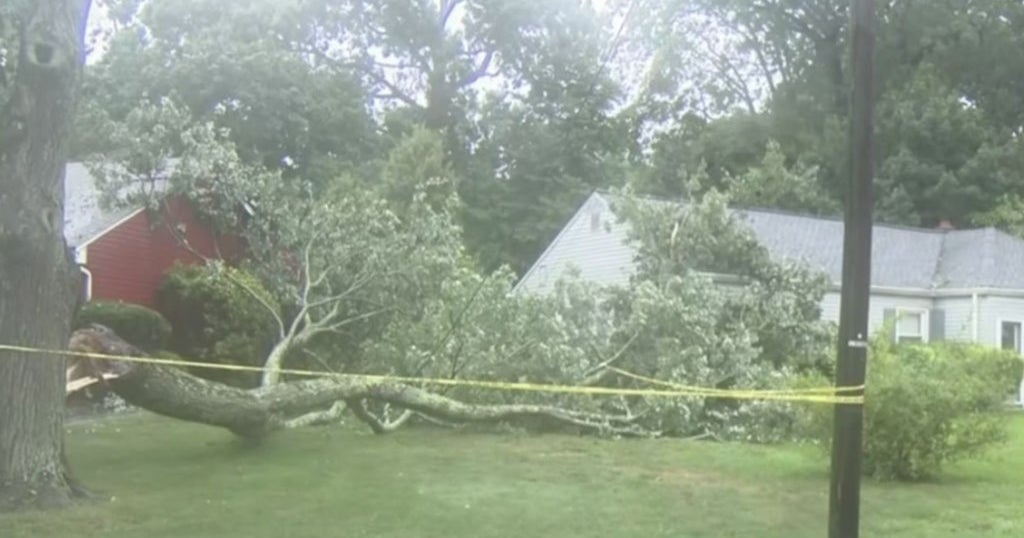 Tracking Henri Relentless Rain Floods Residential Roads, Topples Trees