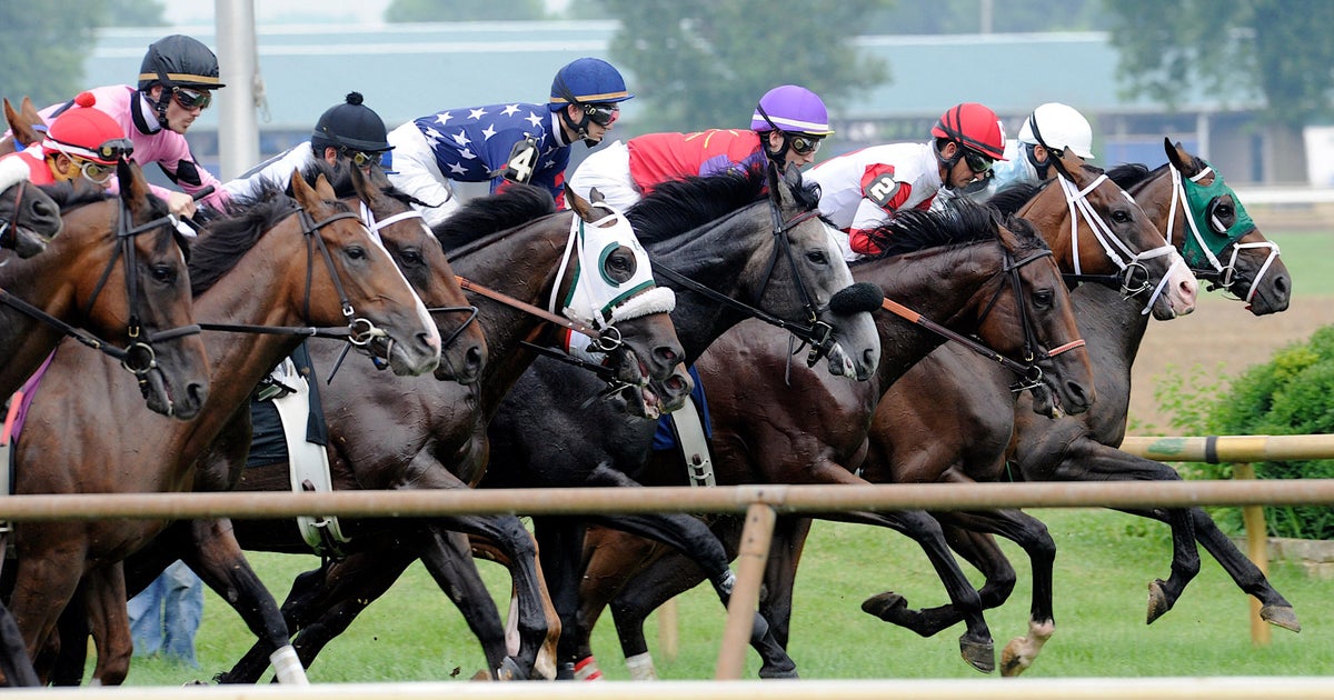 Racehorse bucks jockey, escapes track and runs onto Kentucky highway