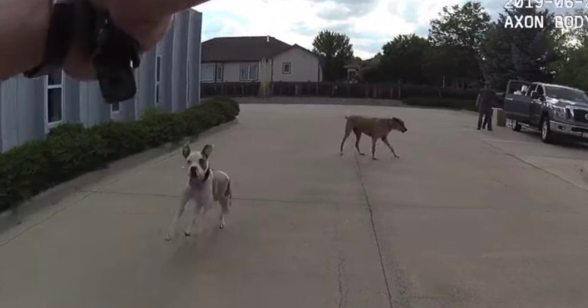 Civil Lawsuit Filed Against Loveland Police Officer Seen On Video