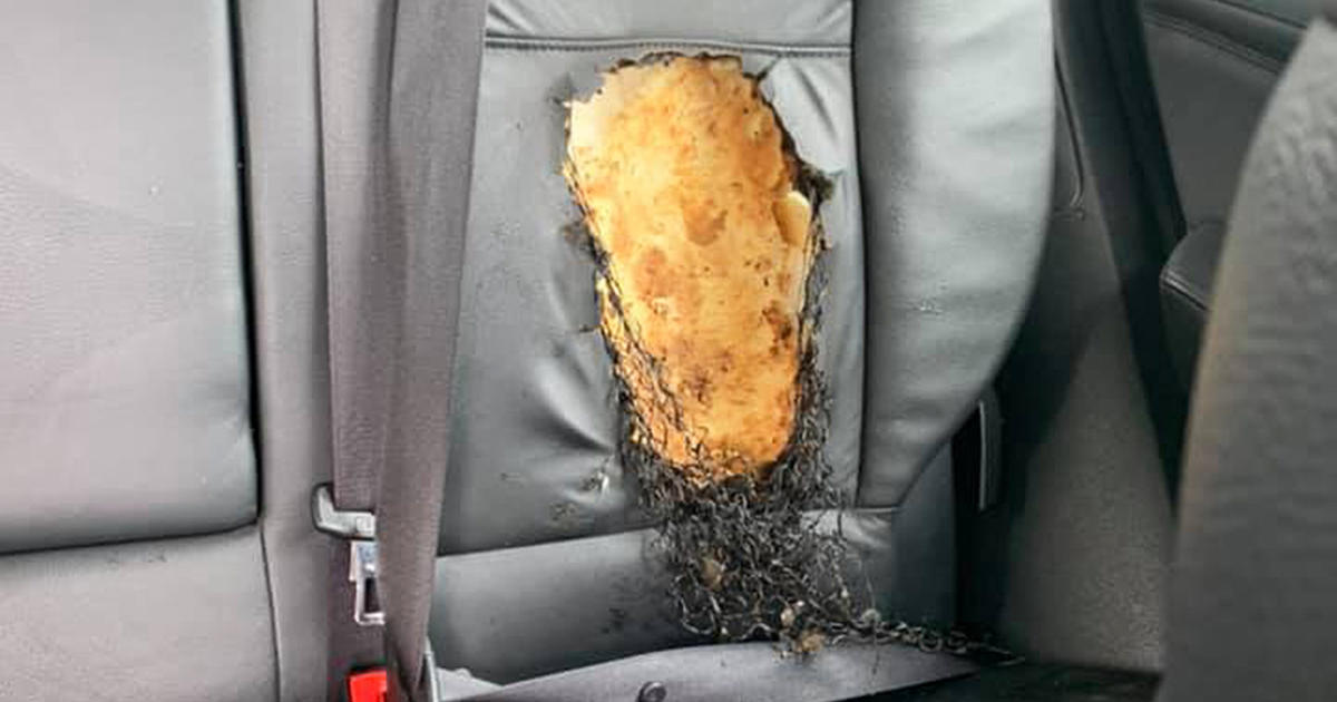 BMW Seat Heater Burns Woburn Boy, Causes Fire - CBS Boston