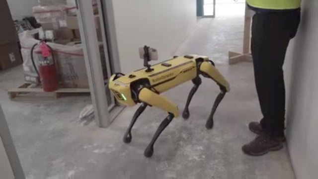 robotdogtestedatconstructionsites.jpg 