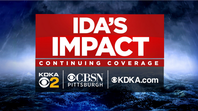 idas-impact.png 