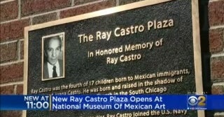 National Museum Of Mexican Art Opens Ray Castro Plaza, Parking Lot ...