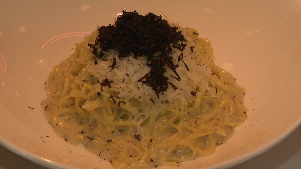 Taste of the Town Le Zoo 