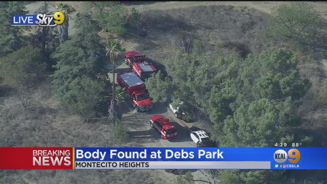 Body-Found-Debs-Park.png 