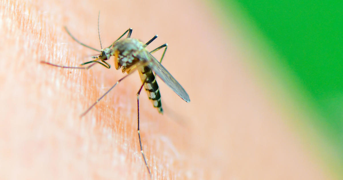 New study reveals the reason why some people are mosquito magnets