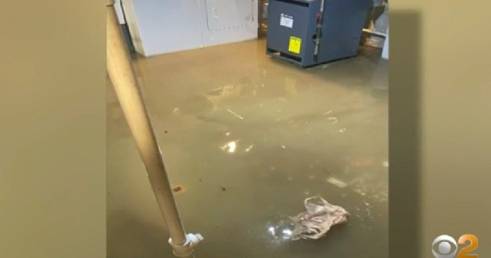 Ida's Aftermath Cranford, N.J. Business Owner Says She Was Stunned To