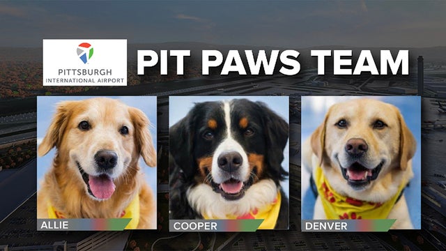 pit-paws-team.jpg 