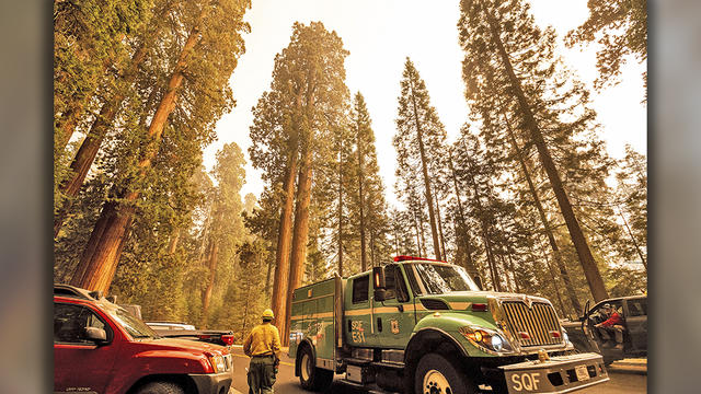 firefightrs-sequoias.jpg 