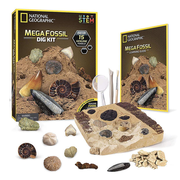 National Geographic Mega Fossil Dig Kit 