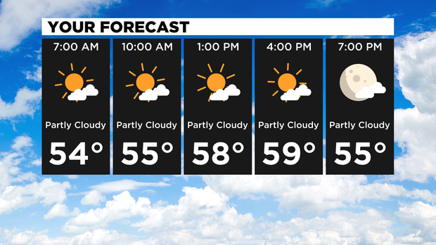 Your Forecast 