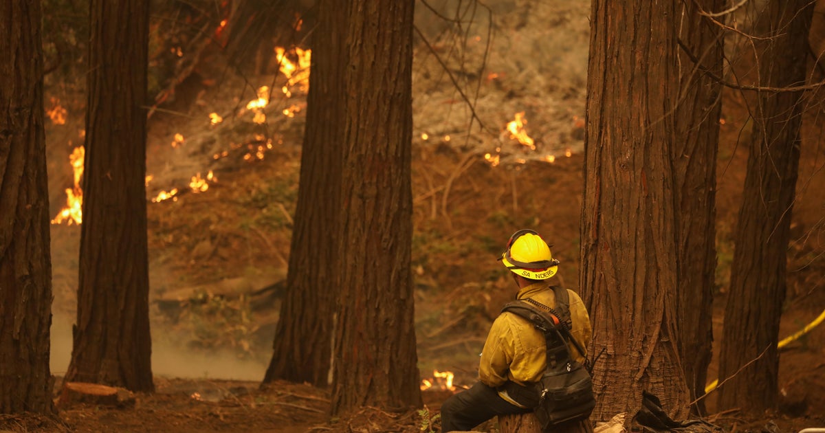 California wildfires destroy homes and threaten giant trees in Sequoia ...
