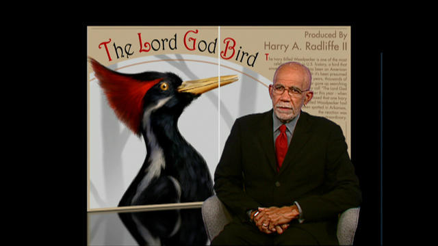 60-lordgodbird-10-804644-640x360.jpg 