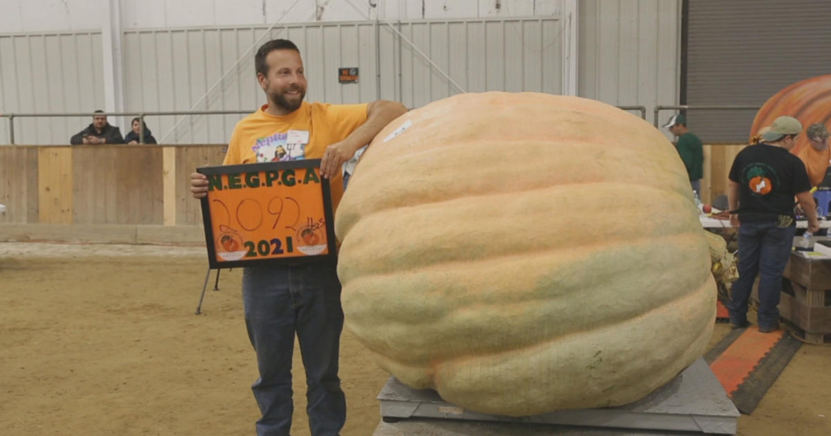 Winner Of Giant Pumpkin Growers Contest At Topsfield Fair Announced