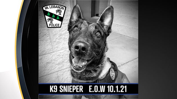 Mt. Lebanon K9 Snieper 