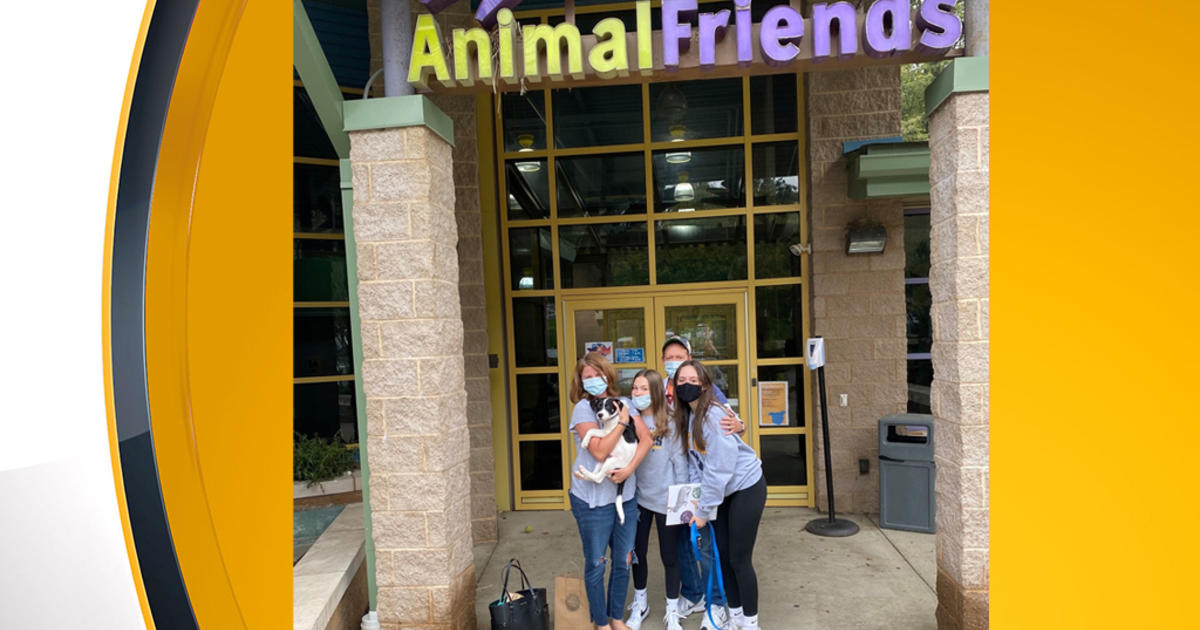 Animal Friends Jobs Pittsburgh