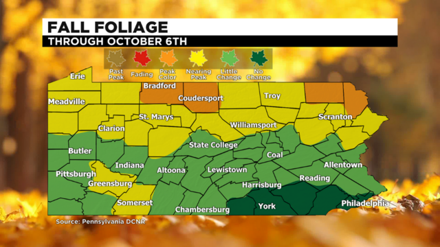 fall-foliage-report.png 