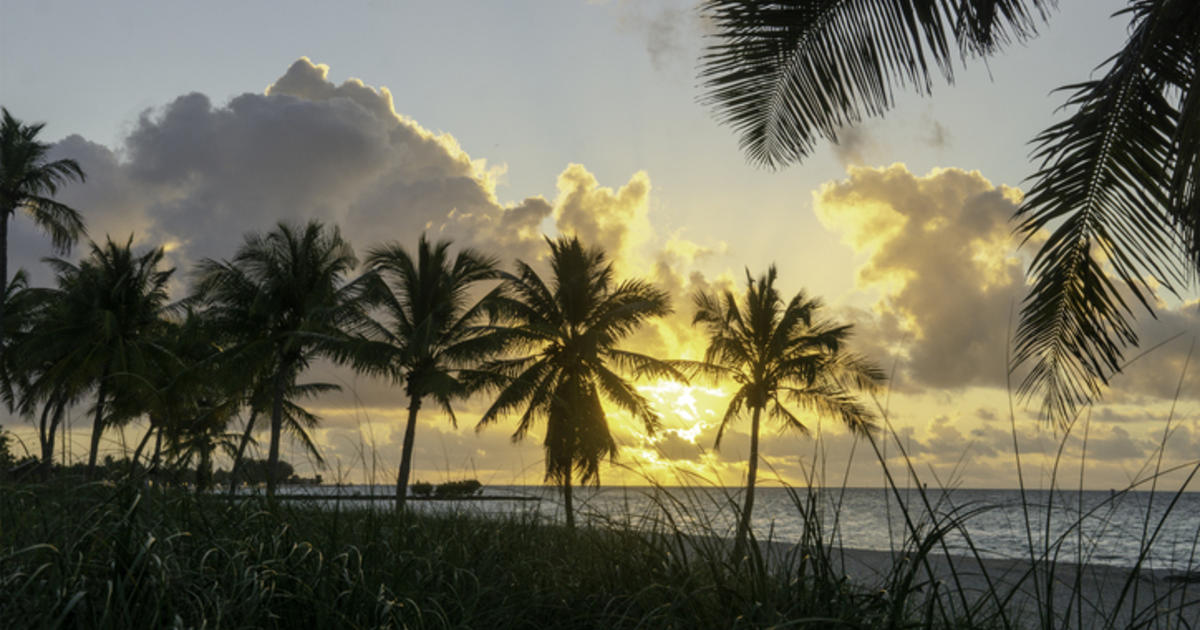 Florida Keys Sunset amazing beach colorful nature ocean palm  sunrise HD phone wallpaper  Peakpx