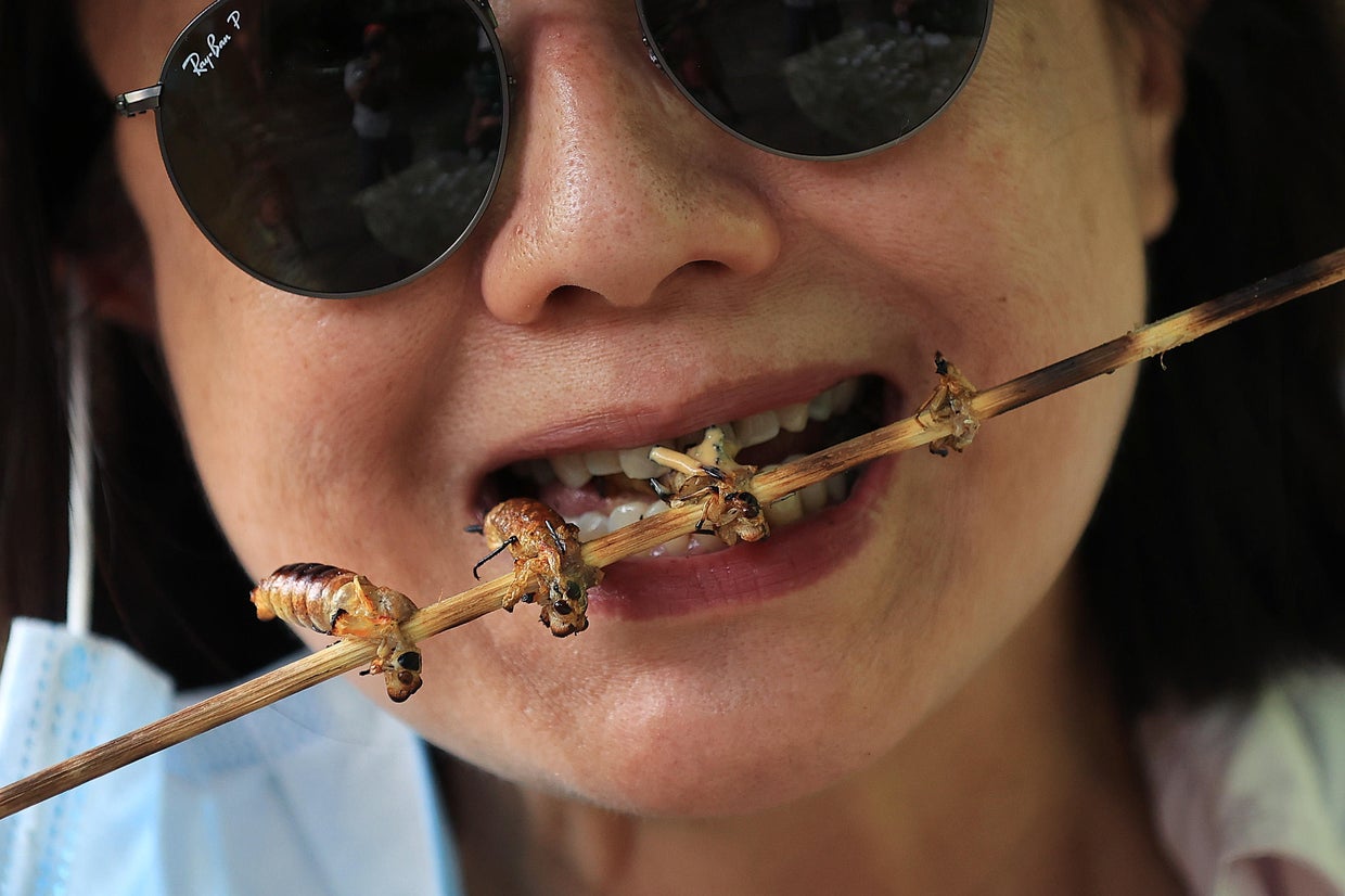 Brood X Cicadas Emerge After 17 Years Underground 