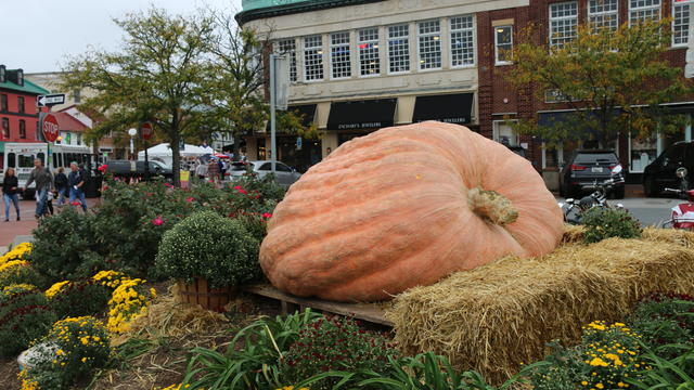 Great-Annapolis-Pumpkin-at-City-Dock-Credit-Visit-Annapolis-Anne-Arundel-County.jpg 