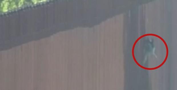 Video Shows 7-Year-old Girl Being Lowered Over 30-Foot Calif. Border Fence 