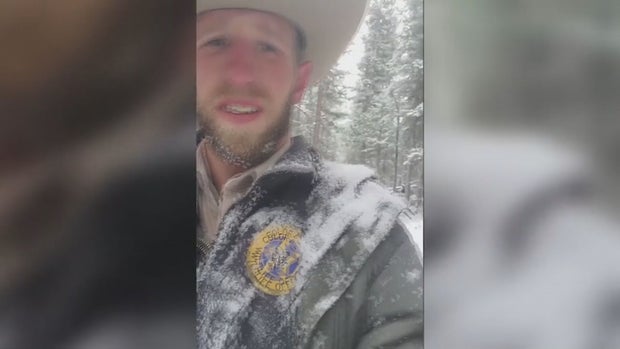 HORSES &amp; FISH 12VO .transfer_frame_902 