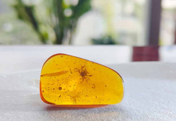 low-res-image-05-crab-in-amber-by-xiao-jia-jpg.png 