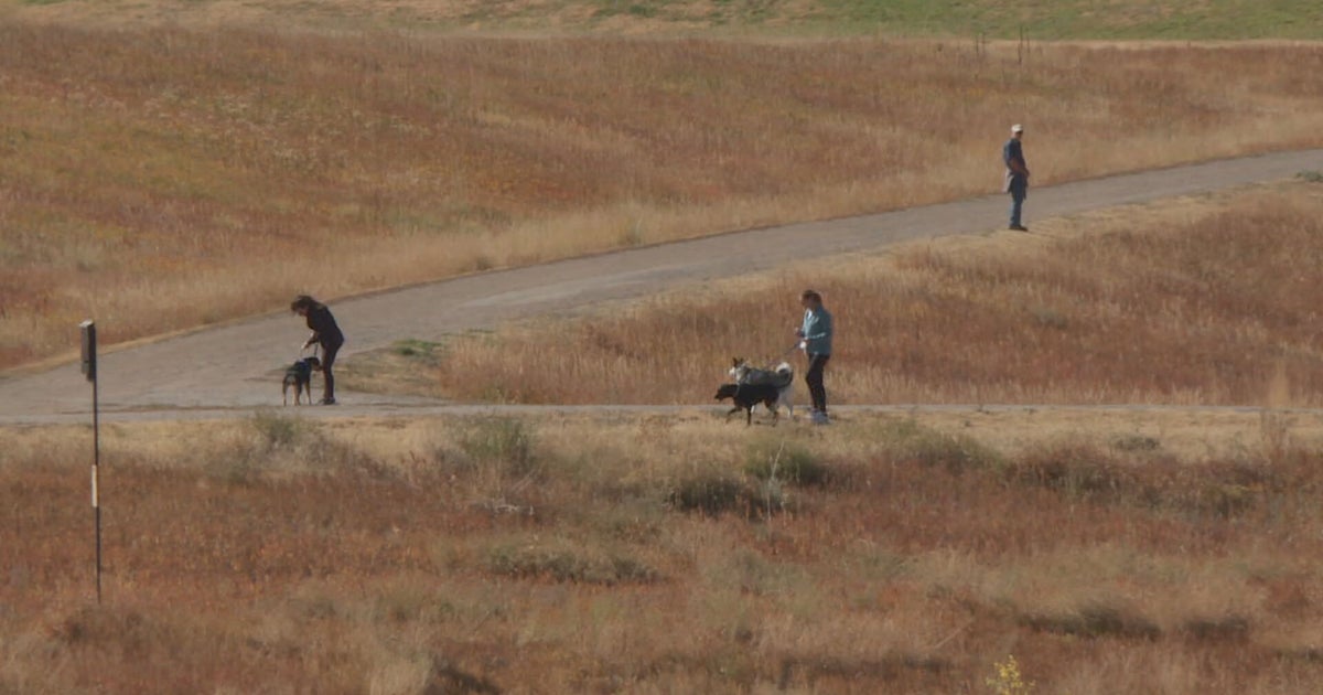 Young Runner Evades Suspected Abductor In Jefferson County CBS Colorado