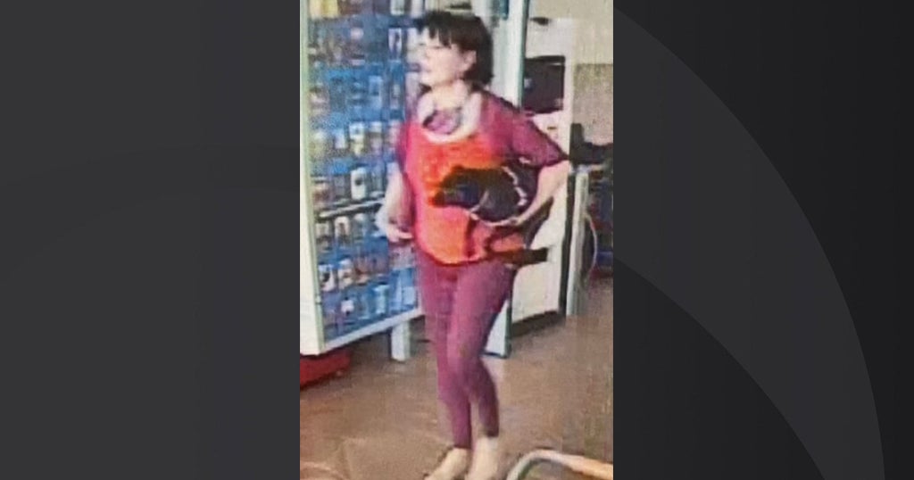 Police Arrest Woman After Service Dog Stolen From New Hampshire Walmart