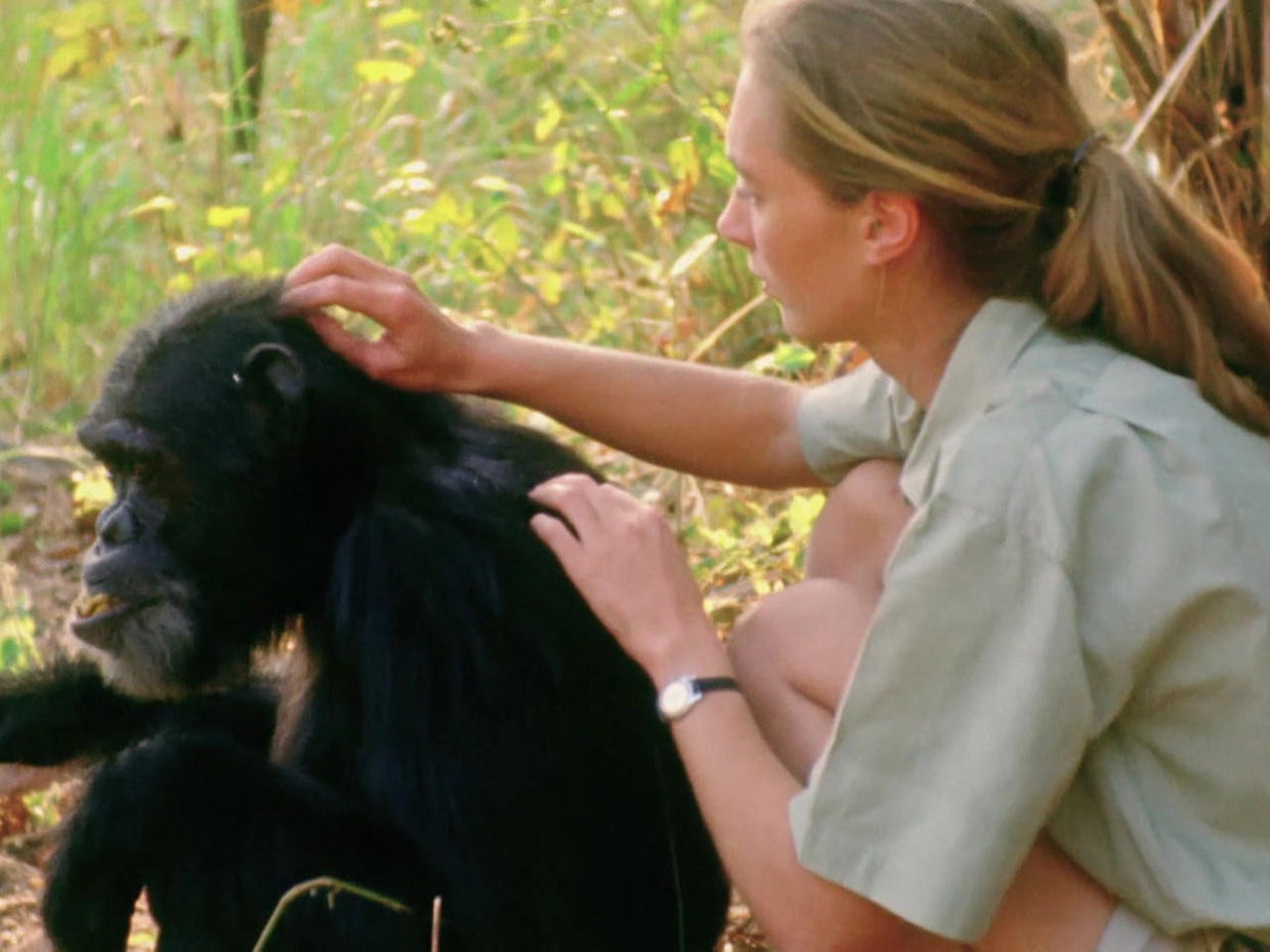Jane Goodall on her hope for the future - CBS News