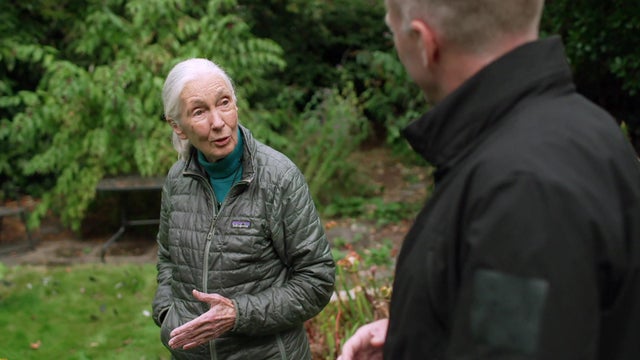 jane-goodall-bournemouth-garden.jpg 
