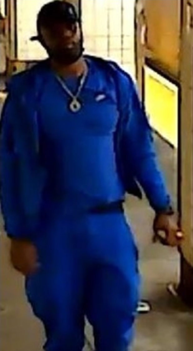 Subway push attempted robbery 