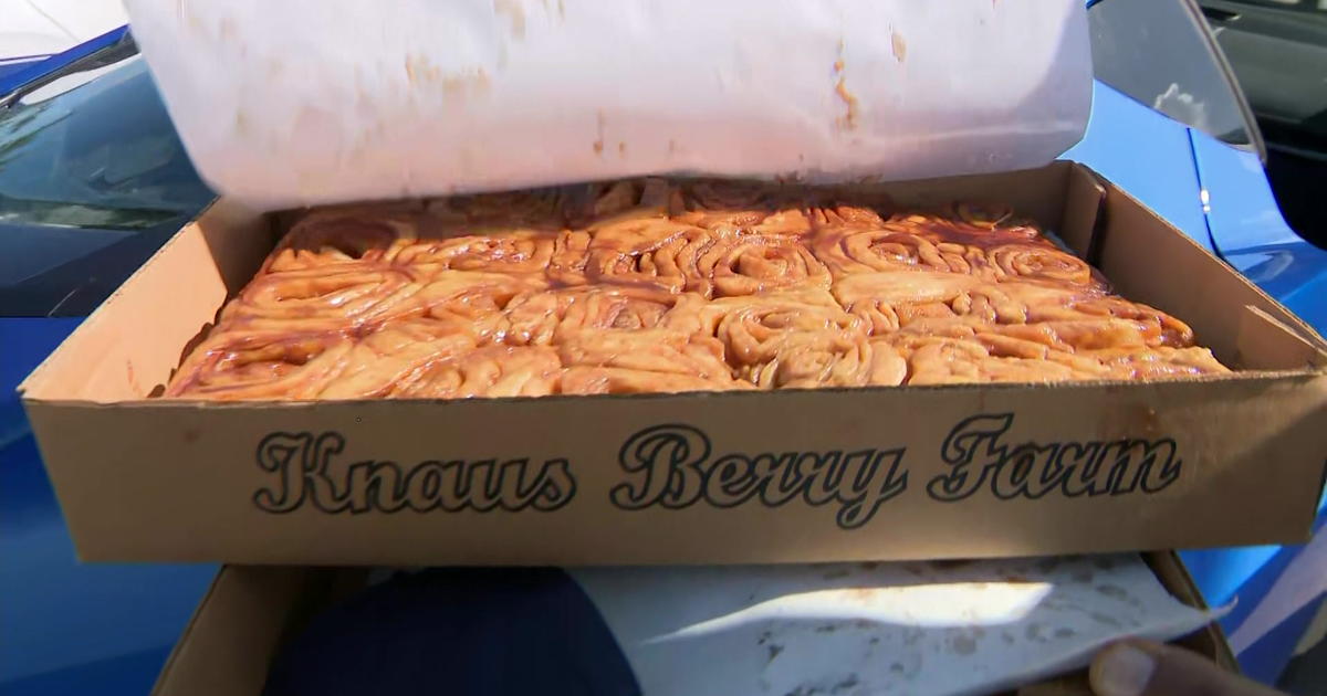 Famous Knaus Berry Farm reopens for season - CBS Miami