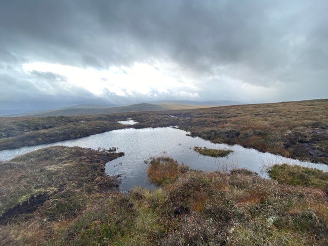 cairngorms-peat-bog.jpg 