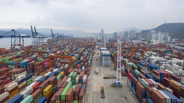 The Shenzhen Yantian International Container Terminals 
