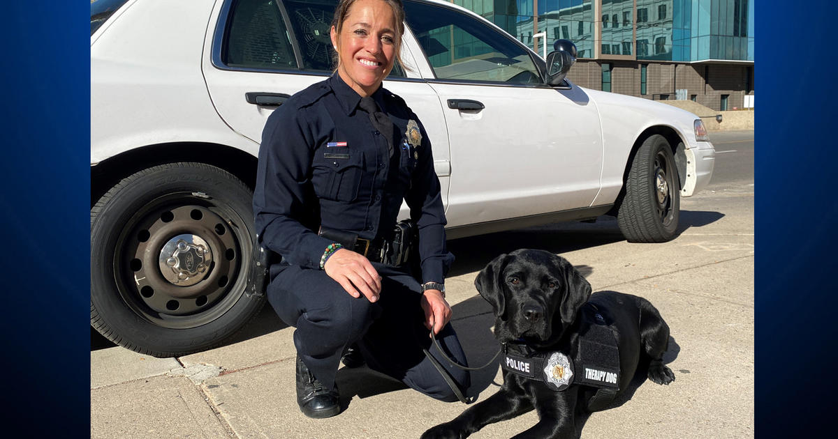 Officer Gus: Police department welcomes new therapy dog