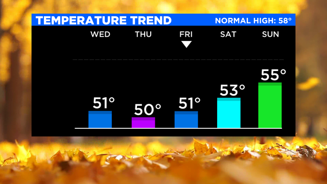SkyCast Temp Trend 2