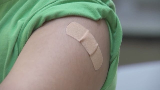 VACCINE-CLINIC-PKG.transfer_frame_2024.jpeg 