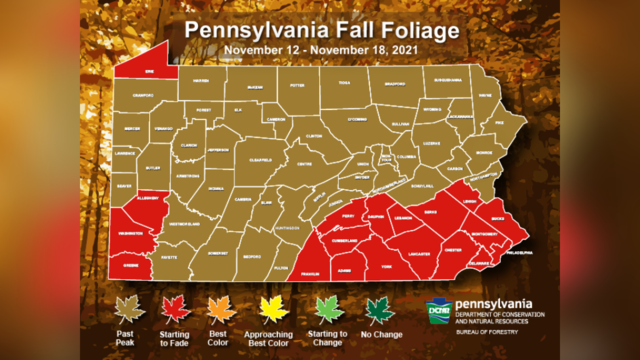last-fall-foliage-report.png 