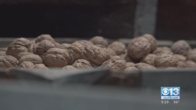 walnuts-1.jpg 