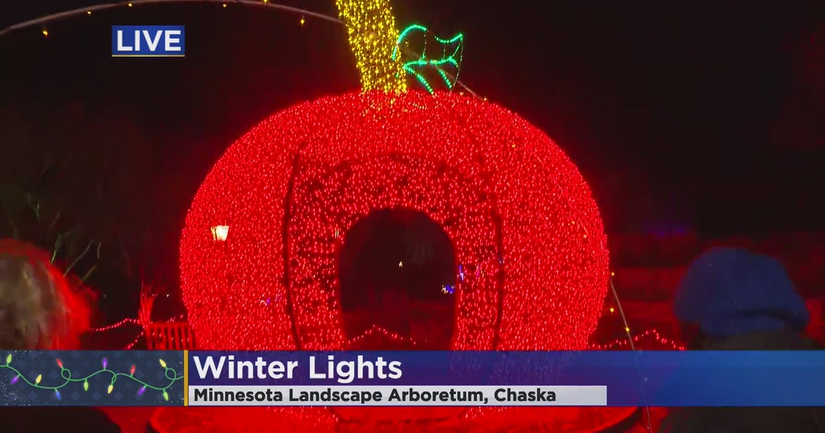 Minnesota Landscape Arboretum's Winter Lights CBS Minnesota