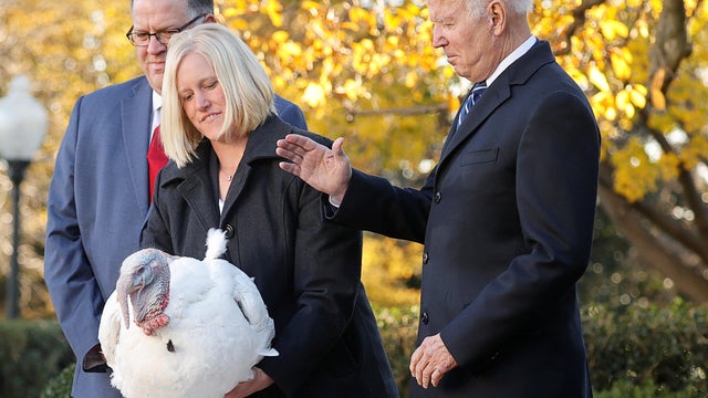 U.S. President Joe Biden hosts the 74th National Thanksgiving Turkey Presentation at the White House in Washington 