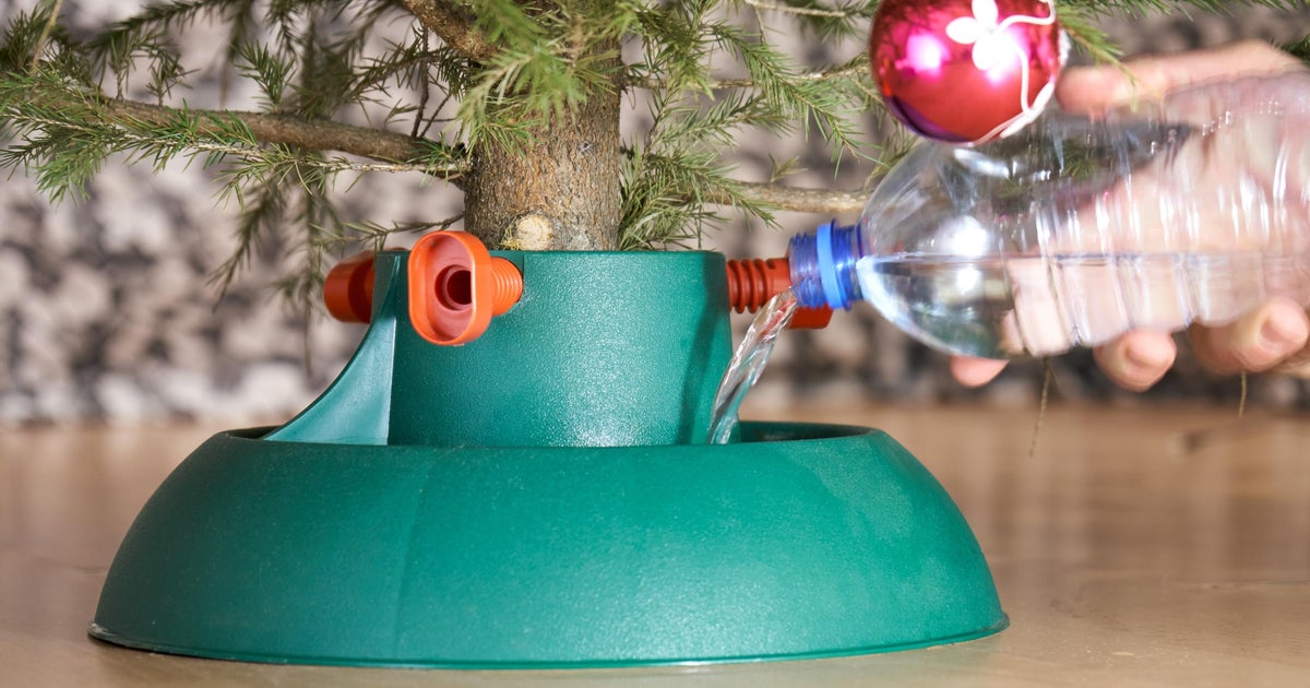 Remember To Water Your Christmas Tree To Avoid Potential Fire Hazards