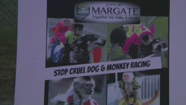 Dog-And-Monkey-Racing.jpg 